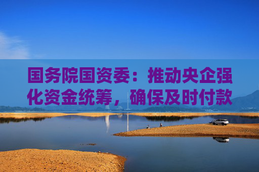 国务院国资委：推动央企强化资金统筹，确保及时付款