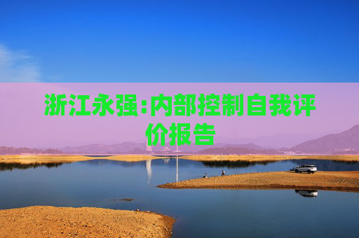 浙江永强:内部控制自我评价报告  第1张
