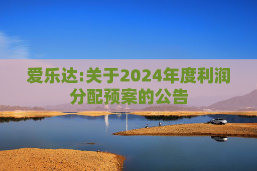 爱乐达:关于2024年度利润分配预案的公告