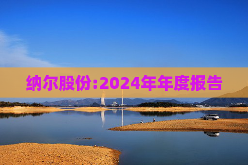 纳尔股份:2024年年度报告  第1张