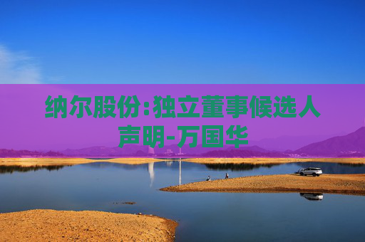 纳尔股份:独立董事候选人声明-万国华