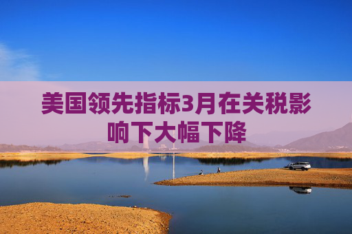 美国领先指标3月在关税影响下大幅下降  第1张