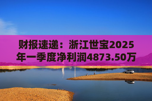 财报速递：浙江世宝2025年一季度净利润4873.50万元