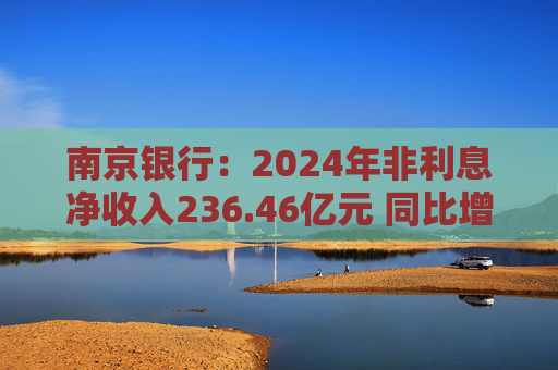 南京银行：2024年非利息净收入236.46亿元 同比增长19.98%
