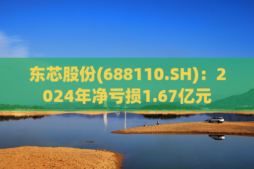 东芯股份(688110.SH)：2024年净亏损1.67亿元  第1张