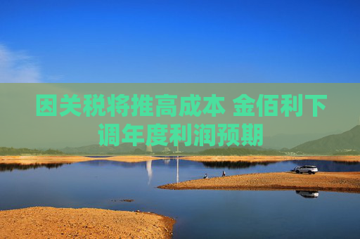 因关税将推高成本 金佰利下调年度利润预期  第1张
