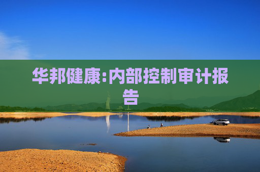 华邦健康:内部控制审计报告
