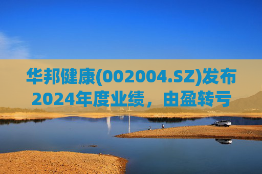 华邦健康(002004.SZ)发布2024年度业绩，由盈转亏2.99亿元
