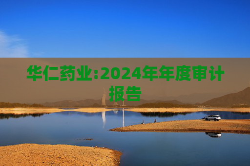 华仁药业:2024年年度审计报告