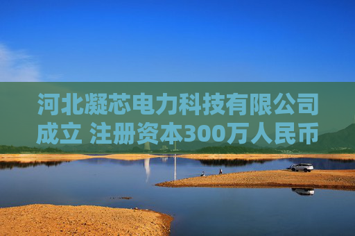 河北凝芯电力科技有限公司成立 注册资本300万人民币