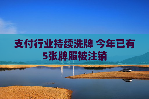 支付行业持续洗牌 今年已有5张牌照被注销