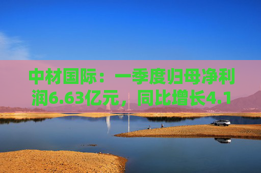 中材国际：一季度归母净利润6.63亿元，同比增长4.19%  第1张