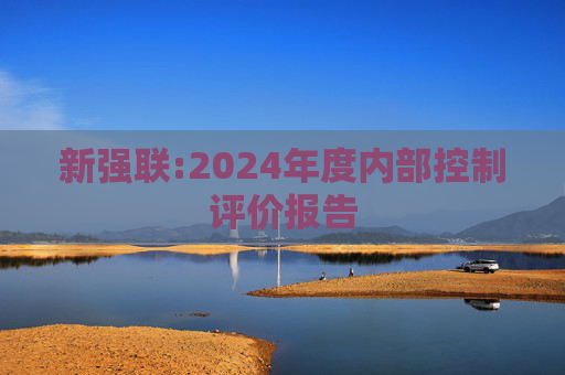 新强联:2024年度内部控制评价报告  第1张
