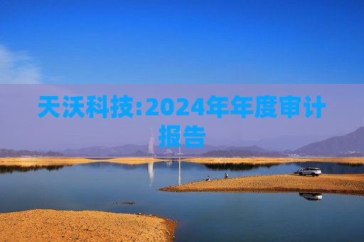 天沃科技:2024年年度审计报告