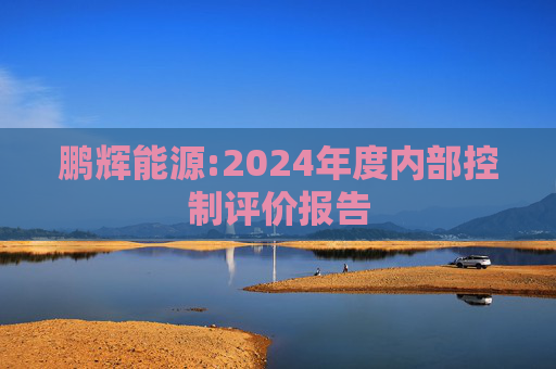 鹏辉能源:2024年度内部控制评价报告