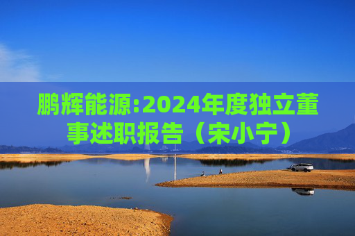 鹏辉能源:2024年度独立董事述职报告（宋小宁）  第1张