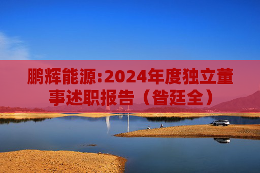 鹏辉能源:2024年度独立董事述职报告（昝廷全）