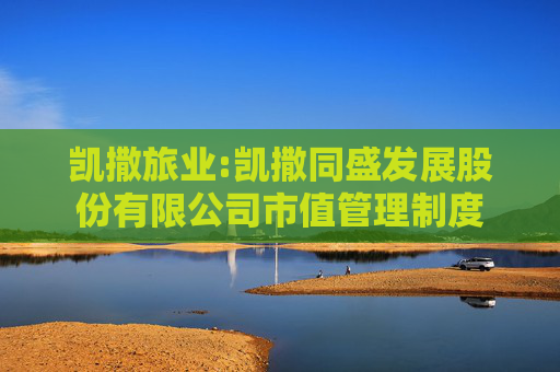 凯撒旅业:凯撒同盛发展股份有限公司市值管理制度  第1张
