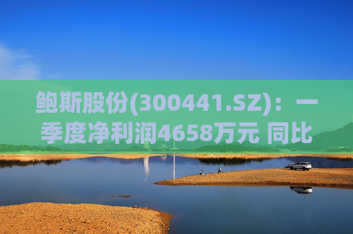 鲍斯股份(300441.SZ)：一季度净利润4658万元 同比下降24.33%