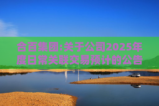 合百集团:关于公司2025年度日常关联交易预计的公告