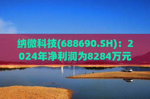 纳微科技(688690.SH)：2024年净利润为8284万元，同比上升20.8%