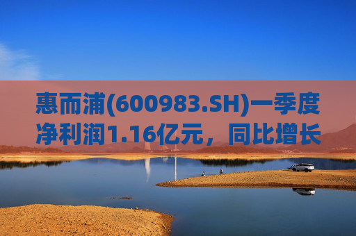 惠而浦(600983.SH)一季度净利润1.16亿元，同比增长1029.06%  第1张