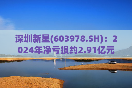 深圳新星(603978.SH)：2024年净亏损约2.91亿元