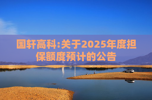 国轩高科:关于2025年度担保额度预计的公告  第1张