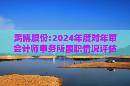 鸿博股份:2024年度对年审会计师事务所履职情况评估报告  第1张