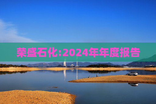荣盛石化:2024年年度报告  第1张