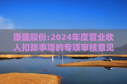 康盛股份:2024年度营业收入扣除事项的专项审核意见