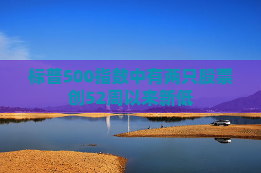 标普500指数中有两只股票创52周以来新低