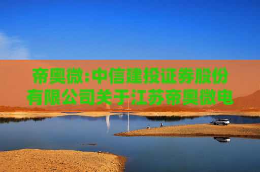帝奥微:中信建投证券股份有限公司关于江苏帝奥微电子股份有限公司2024年度持续督导工作现场检查报告  第1张