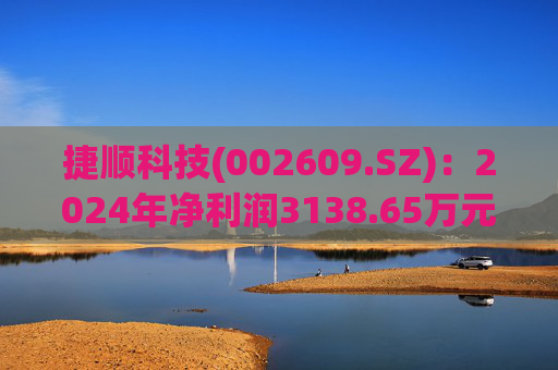 捷顺科技(002609.SZ)：2024年净利润3138.65万元 同比减少72.04%