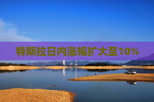 特斯拉日内涨幅扩大至10%  第1张