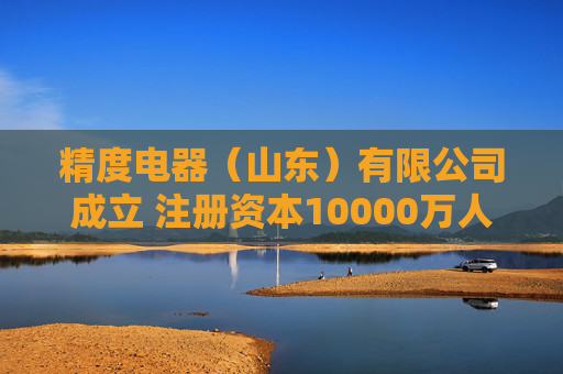 精度电器（山东）有限公司成立 注册资本10000万人民币