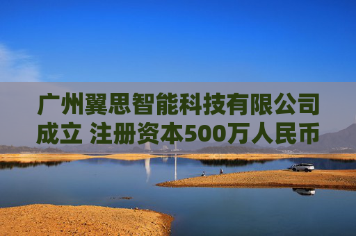广州翼思智能科技有限公司成立 注册资本500万人民币