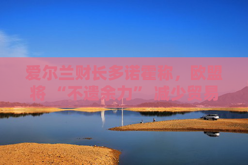 爱尔兰财长多诺霍称，欧盟将 “不遗余力” 减少贸易相关的不确定性  第1张