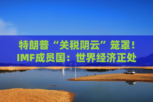 特朗普“关税阴云”笼罩！IMF成员国：世界经济正处于“关键时刻”  第1张