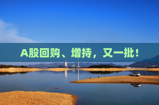 A股回购、增持，又一批！  第1张