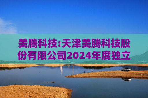 美腾科技:天津美腾科技股份有限公司2024年度独立董事述职报告（段发阶）