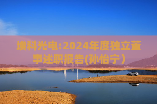 埃科光电:2024年度独立董事述职报告(孙怡宁）