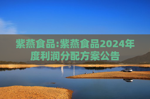 紫燕食品:紫燕食品2024年度利润分配方案公告  第1张