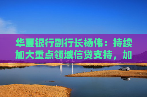 华夏银行副行长杨伟：持续加大重点领域信贷支持，加强投资银行体系化能力建设