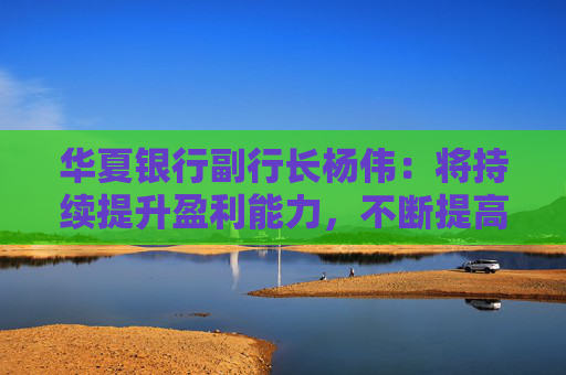华夏银行副行长杨伟：将持续提升盈利能力，不断提高分红水平