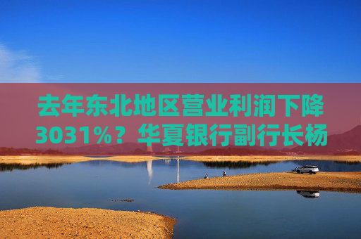 去年东北地区营业利润下降3031%？华夏银行副行长杨伟：加大了该地区不良资产处置力度
