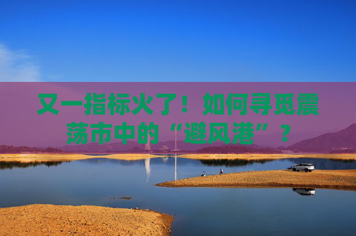 又一指标火了！如何寻觅震荡市中的“避风港”？  第1张