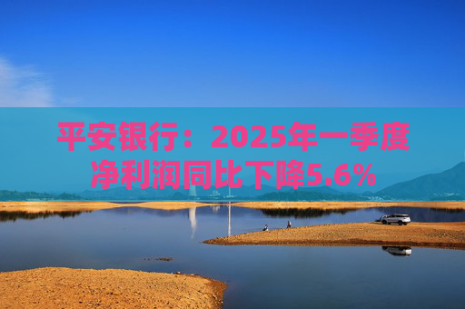 平安银行：2025年一季度净利润同比下降5.6%