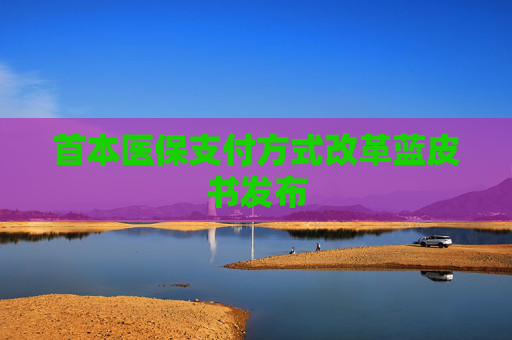 首本医保支付方式改革蓝皮书发布