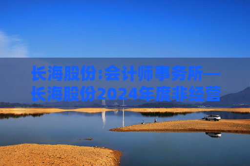 长海股份:会计师事务所―长海股份2024年度非经营性资金占用及其他关联资金往来情况的专项审计说明  第1张